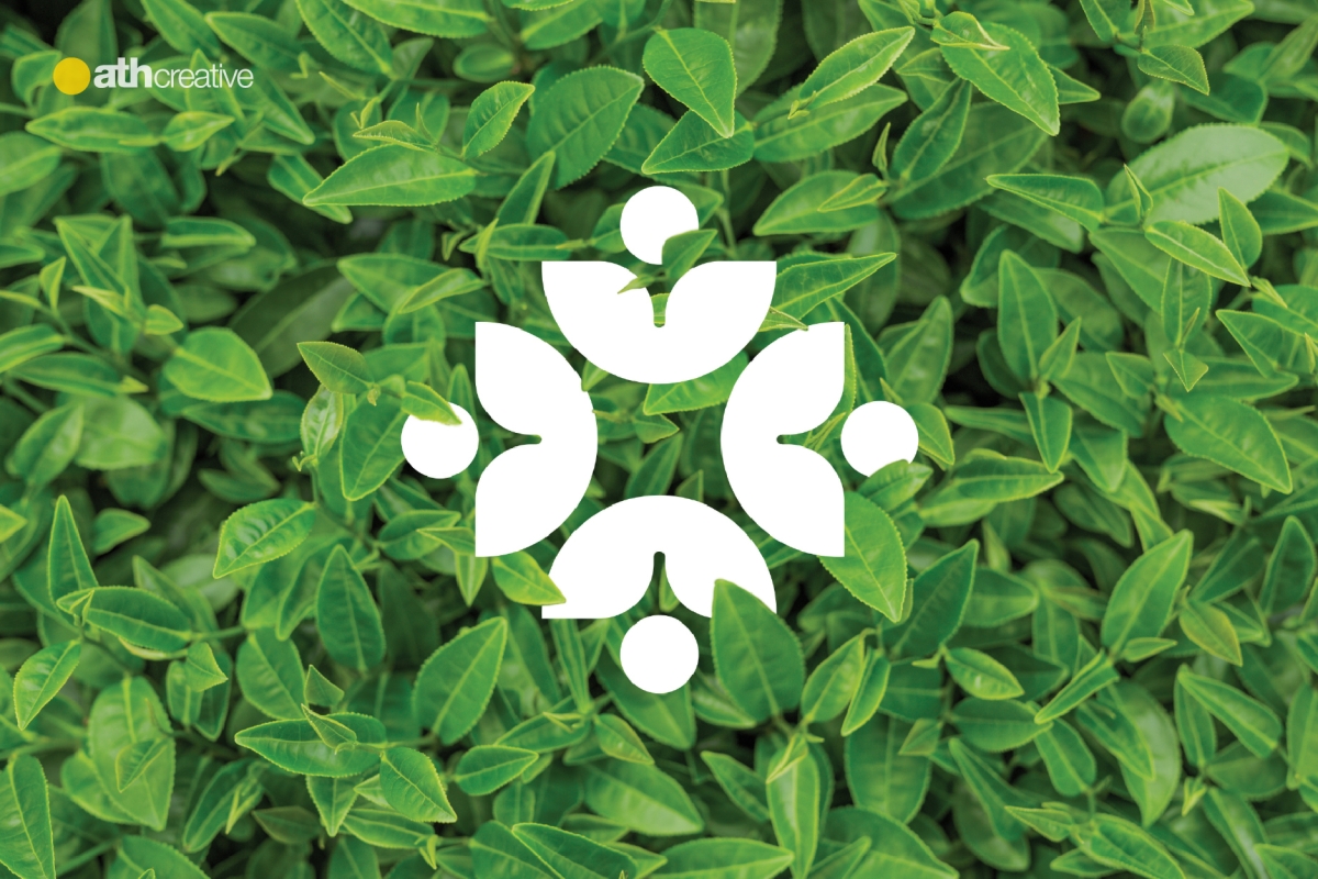 THIẾT KẾ LOGO THƯƠNG HIỆU CHASUCO