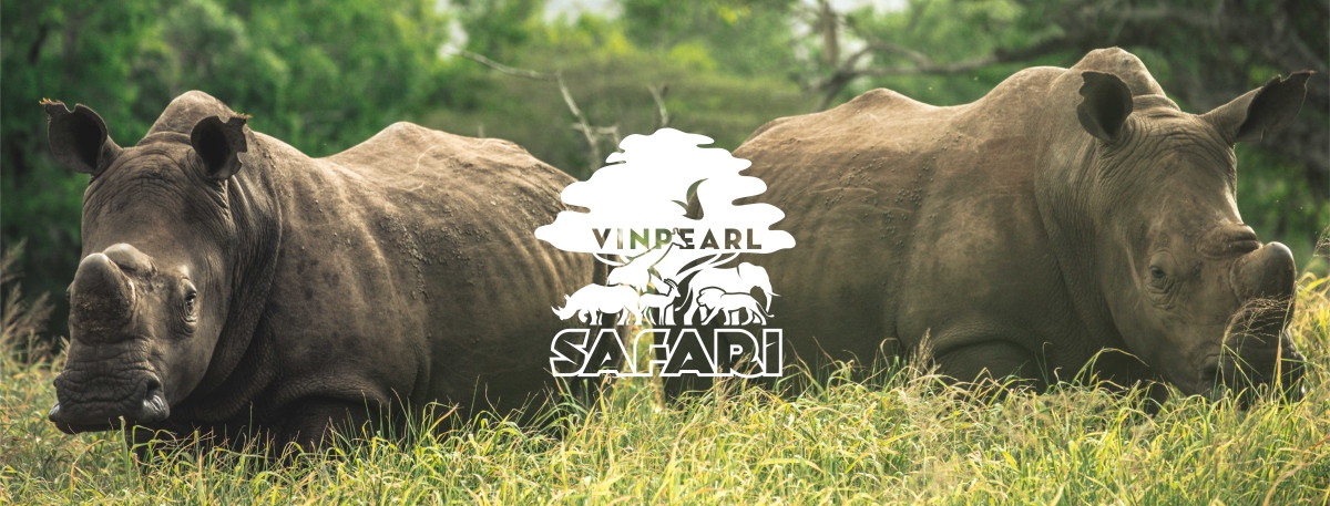 THIẾT KẾ BỘ NHẬN DIỆN THƯƠNG HIỆU VINPEARL SAFARI