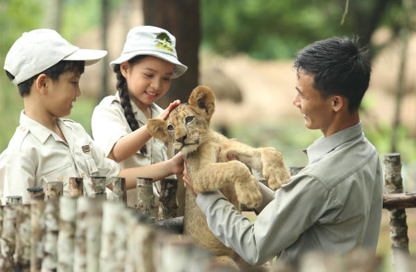 THIẾT KẾ BỘ NHẬN DIỆN THƯƠNG HIỆU VINPEARL SAFARI