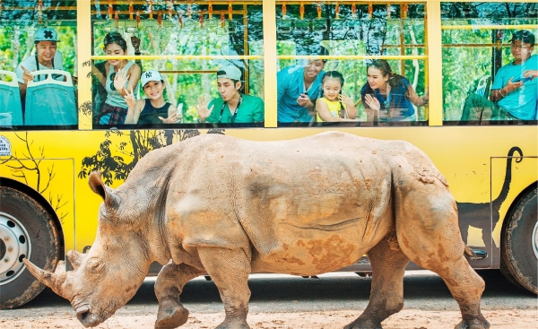 THIẾT KẾ BỘ NHẬN DIỆN THƯƠNG HIỆU VINPEARL SAFARI