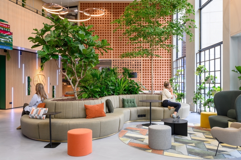 Hiệu quả của màu sắc và ánh sáng trong nội thất văn phòng