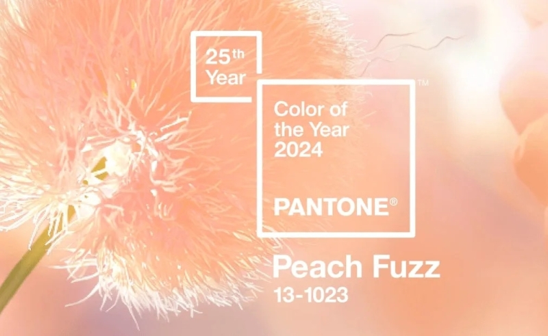 Pantone công bố “Peach Fuzz” là màu sắc xu hướng của năm 2024