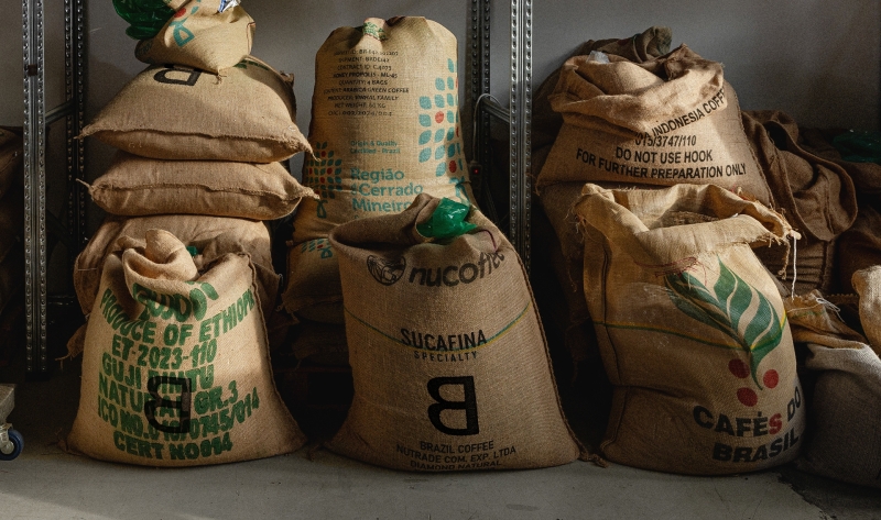 Hé lộ những xu hướng thiết kế bao bì hàng đầu năm 2024