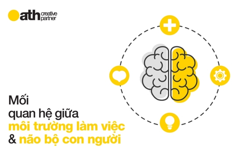 MỐI QUAN HỆ GIỮA MÔI TRƯỜNG LÀM VIỆC VỚI NÃO BỘ CON NGƯỜI
